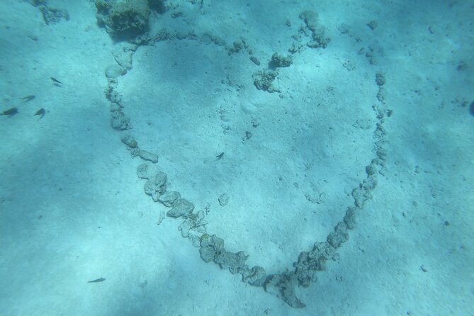 Snorkeling picnic in 4h30 with lunch in Tahiti - Fresh fish, coconut milk, and a local beer