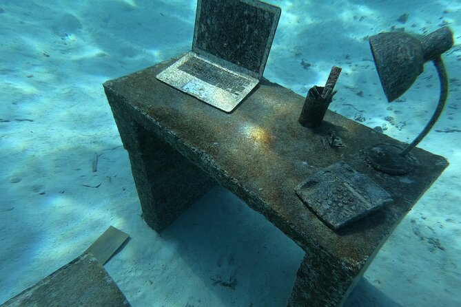 Snorkeling picnic in 4h30 with lunch in Tahiti - A few rough edges to consider