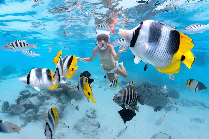 Snorkeling Safari Moorea (Half Day Tour) - Why this Moorea boat trip packs in so much
