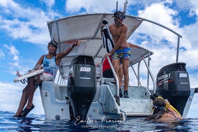Snorkeling Safari Moorea (Half Day Tour) - Stingrays and blacktip reef sharks on the sandbar