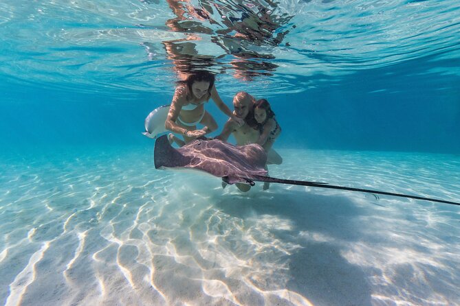 Snorkeling Tour in Moorea Aquatic Adventure Half Day - Key points to know before booking