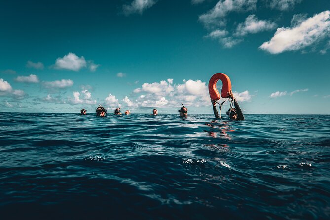 Snorkeling Tour in Moorea Aquatic Adventure Half Day - Moorea’s lagoon in a four-hour outing