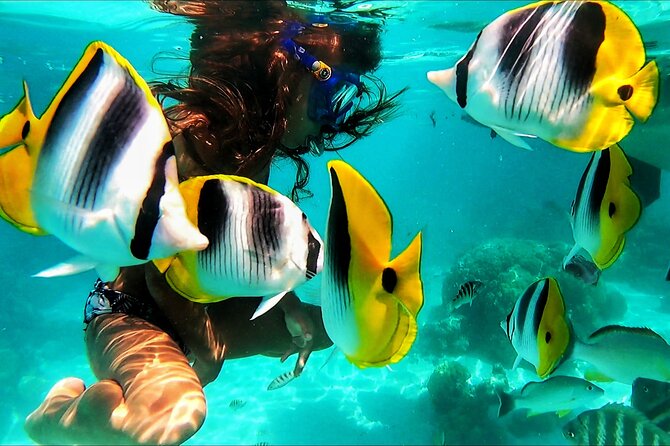 Snorkeling Tour in Moorea Aquatic Adventure Half Day - What Julian and Marie add to the experience