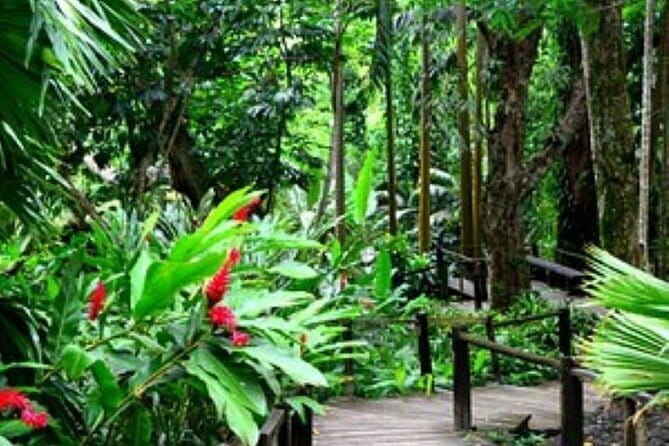 South Sea Island Half Day with Lunch & Drinks - Who will enjoy this most