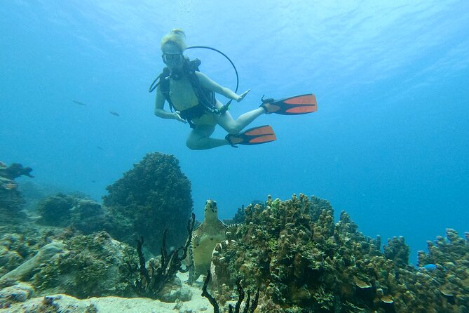 StandUp PaddleBoard Lesson and Experience Scuba Diving Package! - Two Guam water experiences in one compact outing