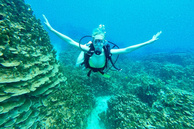 StandUp PaddleBoard Lesson and Experience Scuba Diving Package! - The paddleboard lesson: a low-pressure start
