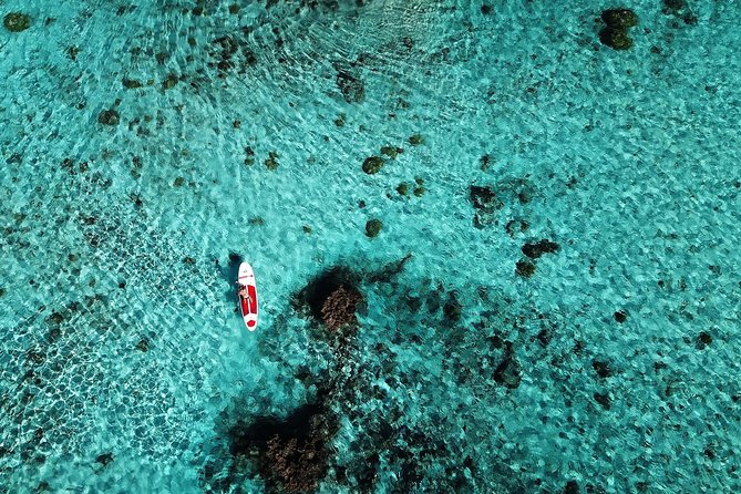 Stroll out of time on the lagoon of Bora Bora - Why the follow boat is useful