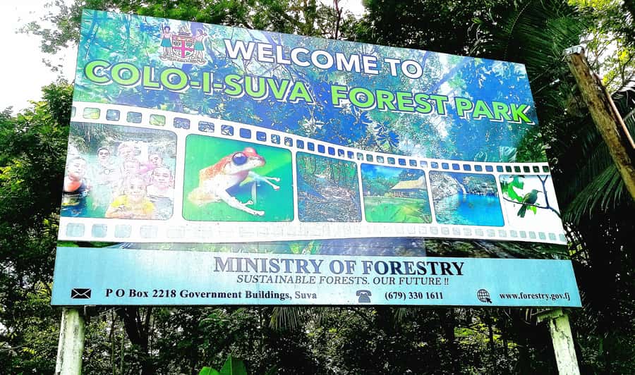 Suva Cruise Ship Tour - How good is the guiding?