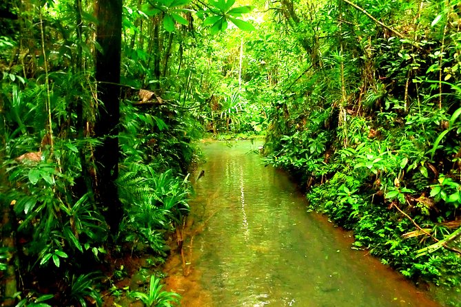 Suva Customized tour- Private - What the guide adds to the day