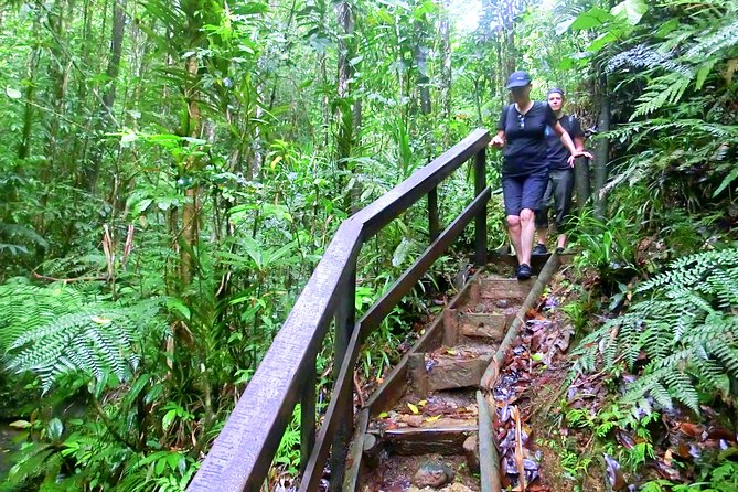 Suva Customized tour- Private - Sunday closures and smart planning