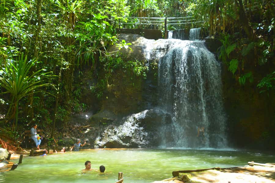Suva: Fijian Nature and Waterfall Tour - From Suva streets to Colo-I-Suva forest