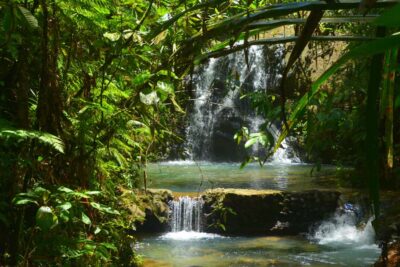 Fijian Nature and Waterfall Tour