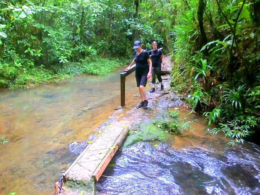 Suva: Fijian Nature and Waterfall Tour - Is the USD 69 price good value?