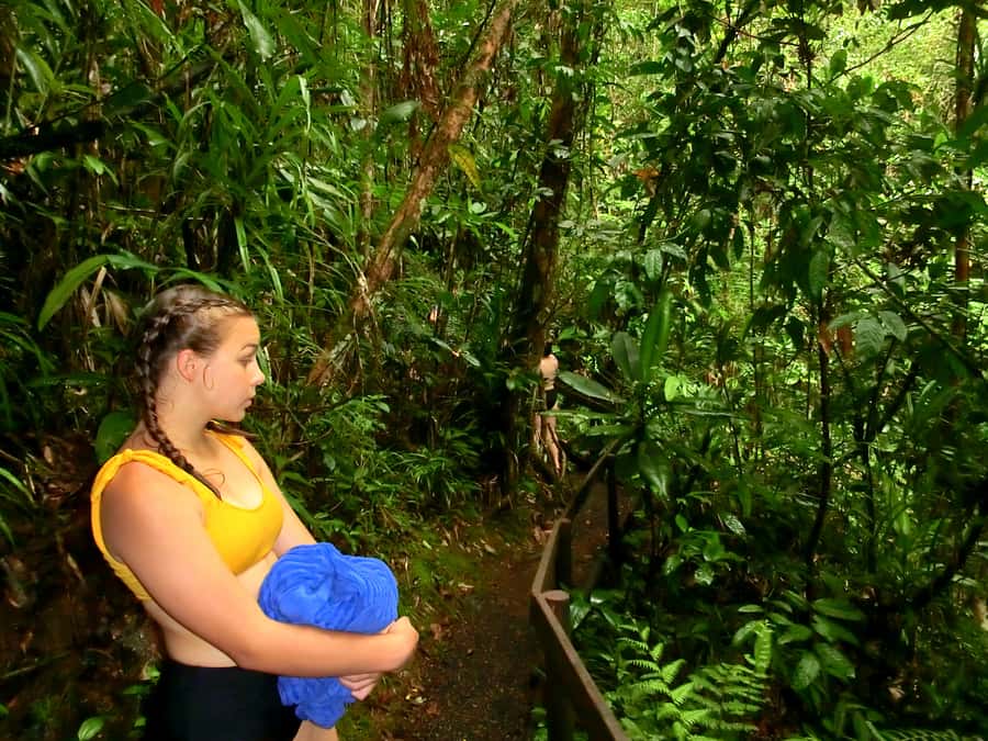Suva: Fijian Nature and Waterfall Tour - Who should book this Suva waterfall outing?