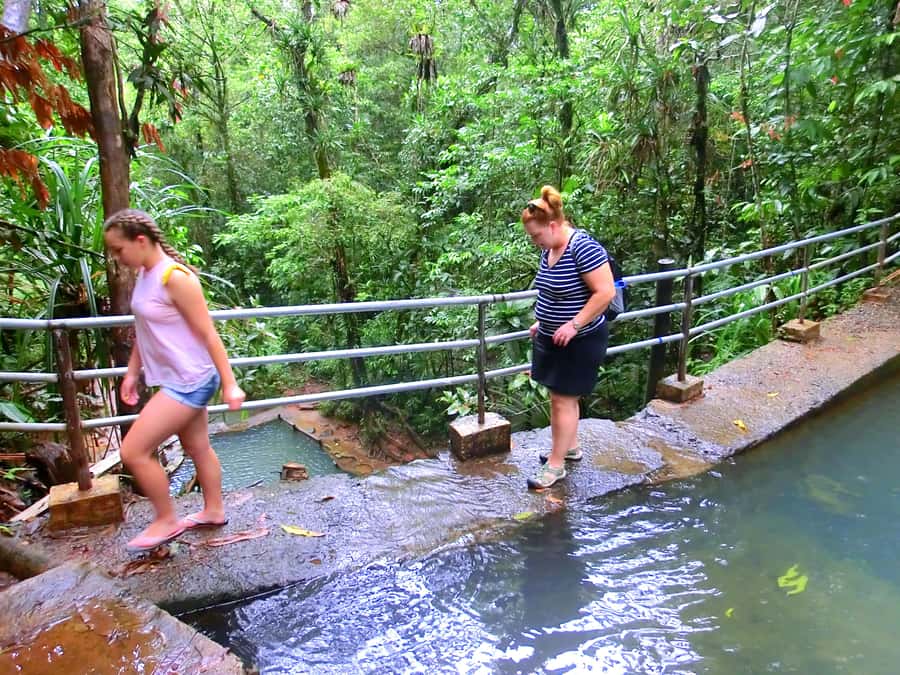 Suva: Fijian Nature and Waterfall Tour - Should you book the Colo-I-Suva tour?