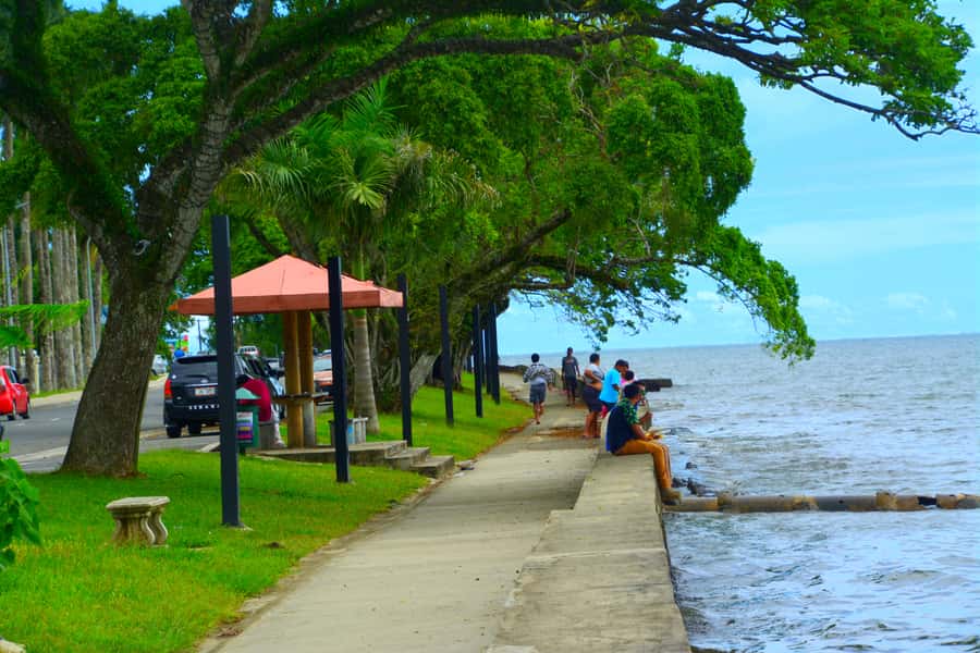 Suva: Half Day City Sightseeing Tour - Colonial buildings, Parliament House, and the Great Council of Chiefs