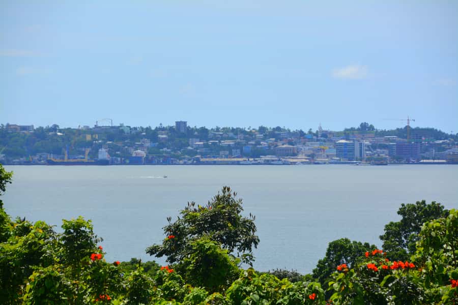 Suva: Half Day City Sightseeing Tour - Transport, timing, and the biggest risk