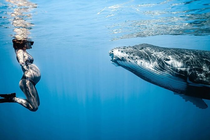 Swim in Moorea with Humpback Whales and More - Snorkeling with the right equipment