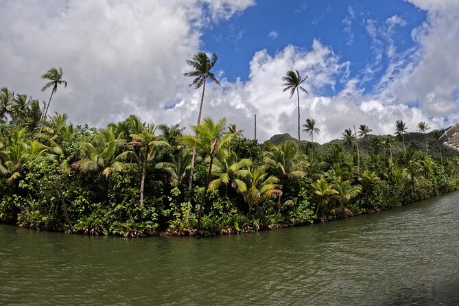Taha'a Island or Raiatea Boat Tour - Understanding Tahitian pearls at Iaorana Pearl Farm