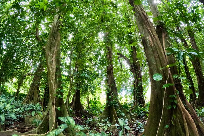 Taha'a Island or Raiatea Boat Tour - Starting from Uturoa on Raiatea