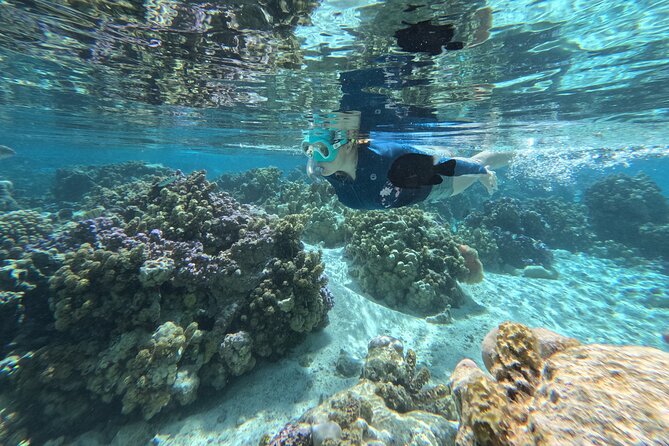 Tahaa Excursion in Electric Paddle Snorkeling Coral Garden - The snack break near a motu