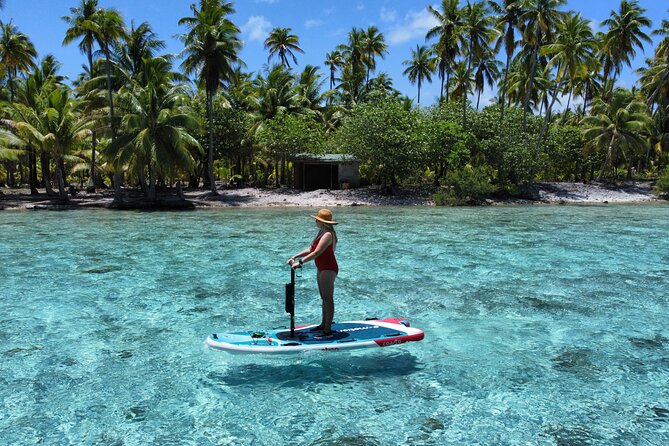 Tahaa Excursion in Electric Paddle Snorkeling Coral Garden - Private trips and the shorter afternoon option