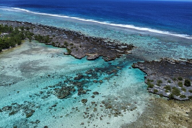 Tahaa Excursion in Electric Paddle Snorkeling Coral Garden - Is $128.23 a fair price?