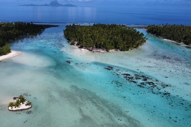 Tahaa Excursion in Electric Paddle Snorkeling Coral Garden - Reaching the Coral Garden from Taha’a