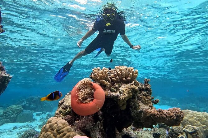 Tahaa: Kayaking Rental - Coral Garden - Snorkeling - What to bring and how to pace the day
