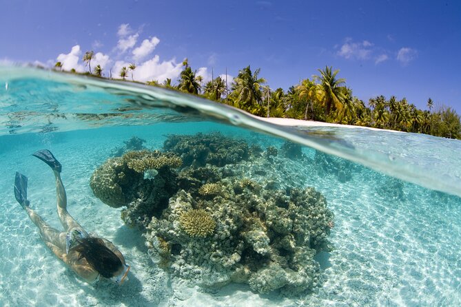 Tahaa Lagoon Tour -Departure Raiatea-Small groups (max 12 p) - Price, transfers, and practical value