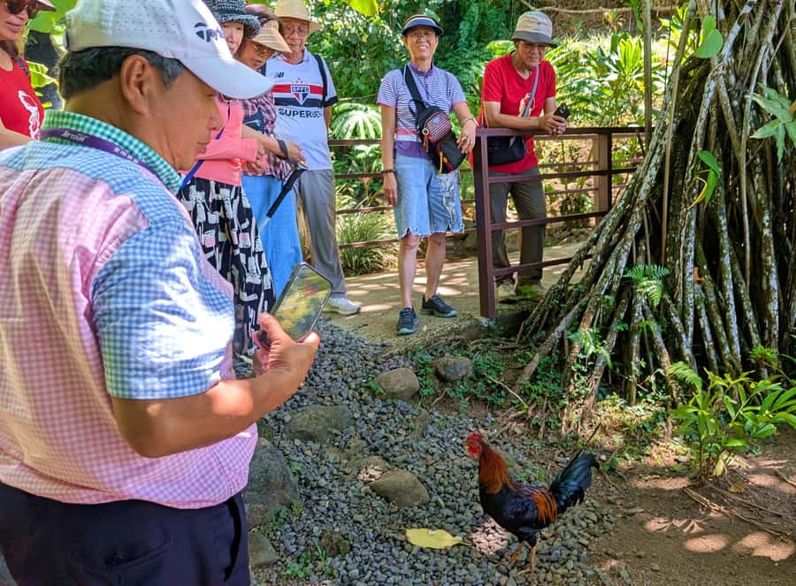 Tahiti Classical Coastal Full Day Private Tour - Starting with Tahiti’s sacred marae