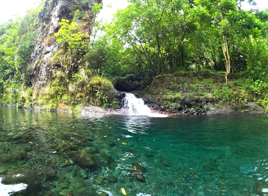 Tahiti E-bike, mtb, vtt Tour with Swimming and Lunch - Key points to know before booking