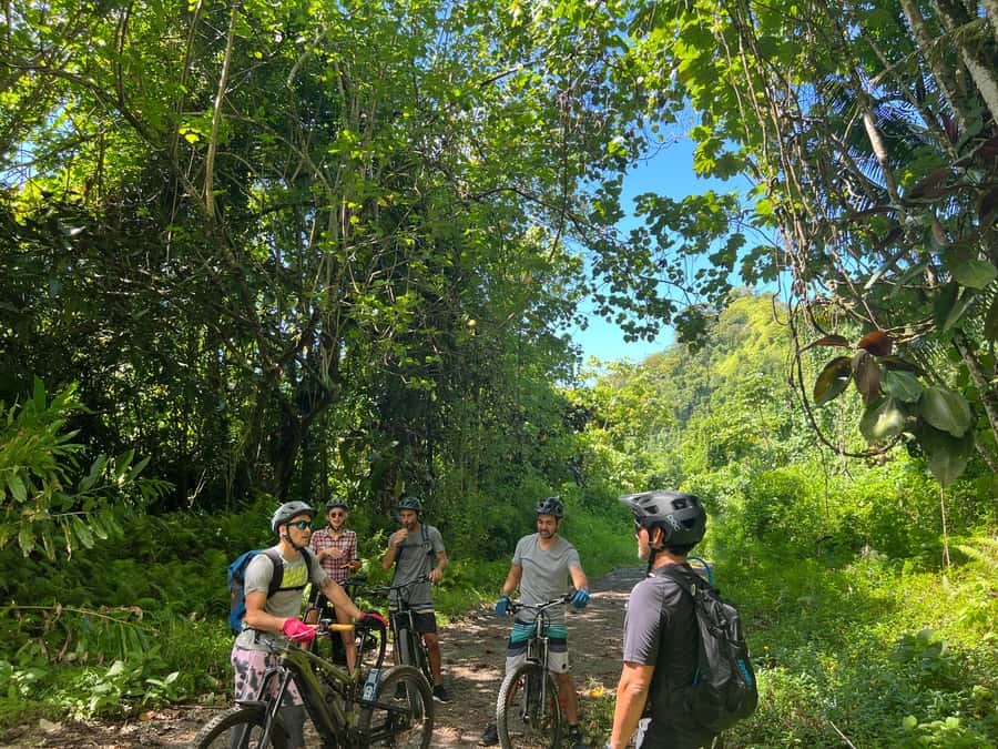 Tahiti E-bike, mtb, vtt Tour with Swimming and Lunch - The 75-minute transfer and small-group setup