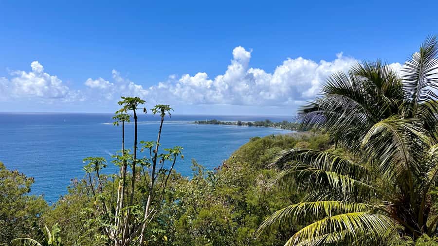 Tahiti: East or West coast tour (Half Day) - Pick your Tahiti coast with care