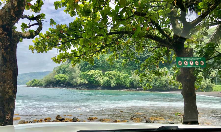 Tahiti: East or West coast tour (Half Day) - Is $550 good value for up to four people?