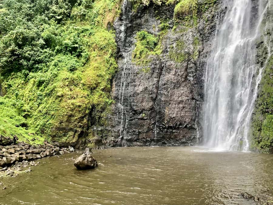 Tahiti: East or West coast tour (Half Day) - Booking flexibility and practical details