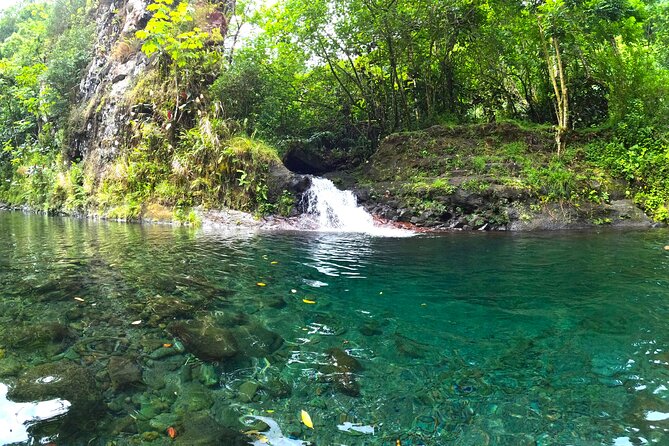 Tahiti excursion adventure circuit MTB MTB E-Bike private valley - Is $285.44 a fair price?