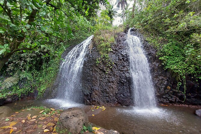 Tahiti Full Day Private Coastal Tour - Maraa Grotto and Taharuu Beach