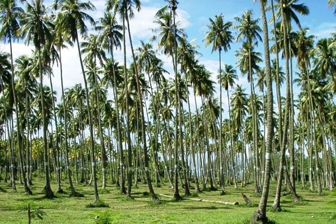 Tahiti: Full Day Tour of the Island - Faarumai Waterfalls in a jungle setting