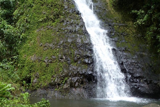 Tahiti: Full Day Tour of the Island - Vaipahi Water Gardens and the southern coast