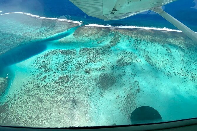 Tahiti: Full Day Tour with Private Flight EN Cessna (Moorea & Tahiti) - What the private vehicle adds to a long island day