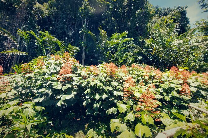 Tahiti Half Day Coastal Private Tour - Faarumai Waterfalls deliver the big natural view