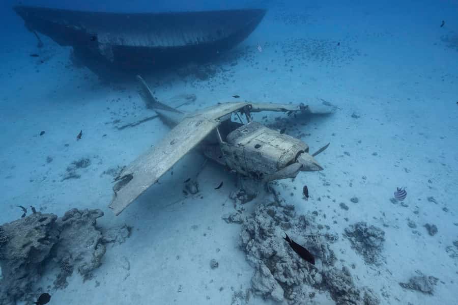 Tahiti island: 4 hours Snorkeling Tour - Coral gardens, freshwater springs, and the turtle stop