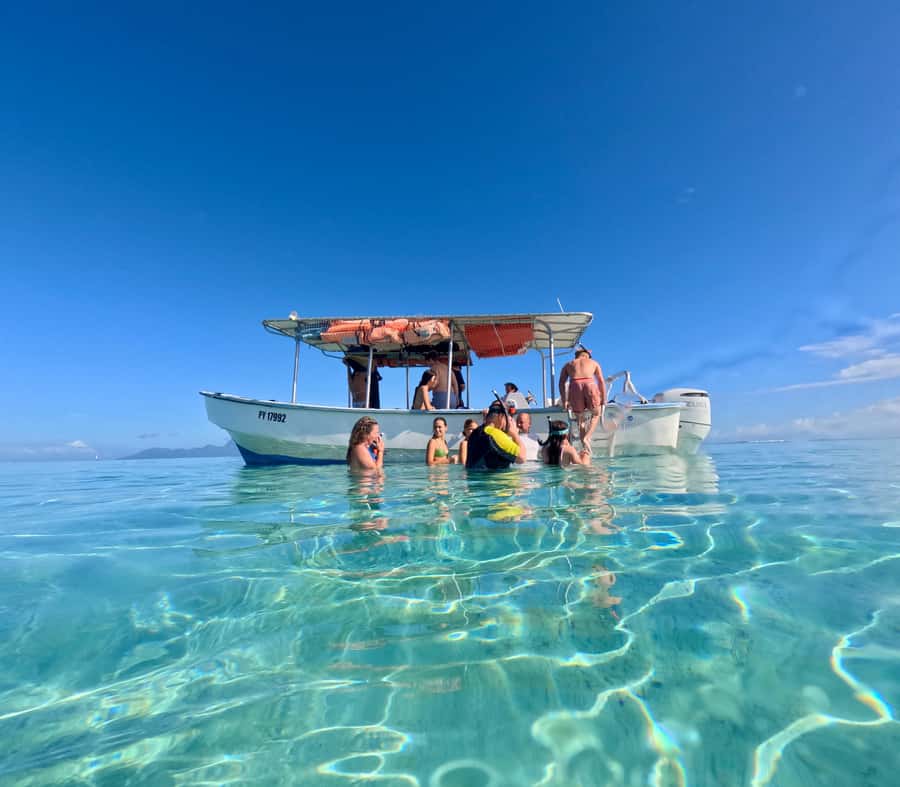 Tahiti island: 5 hours Snorkeling Picnic - A Polynesian lunch with raw fish and local fruit