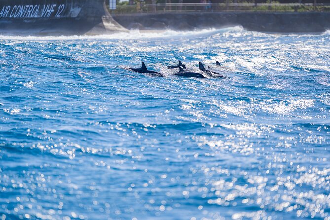 Tahiti Lagoon Snorkeling and Lunch Boat Tour (6 pax max) - The clear water of Papa Whiskey