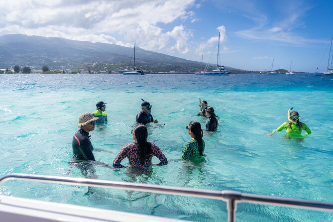 Tahiti Lagoon Snorkeling and Lunch Boat Tour (6 pax max) - Poisson cru on the water