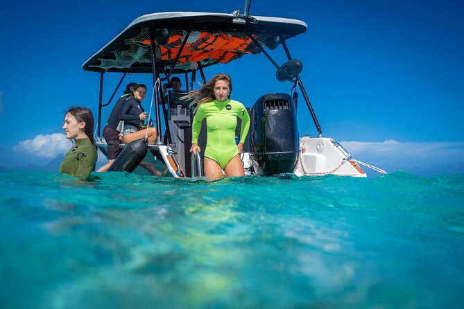 Tahiti Lagoon Snorkeling and Lunch Boat Tour (6 pax max) - What the $218.64 price gets you
