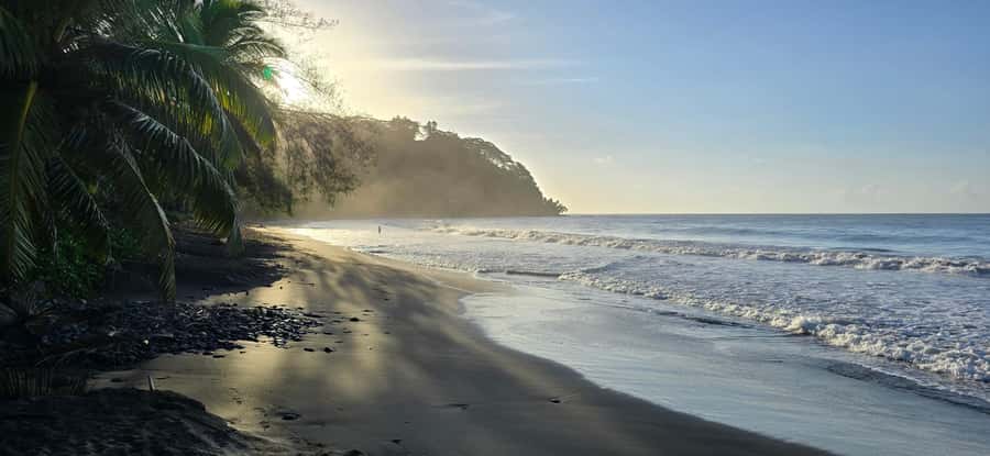 Tahiti: Northeast Coast Waterfalls&Viewpoints Half Day Tour - A five-hour introduction to Tahiti’s northeast coast