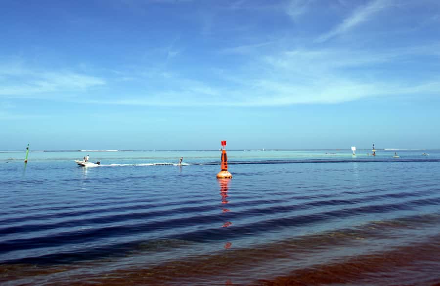 Tahiti: Private Half Day Culture and Nature Highlights Tour - A fast introduction to Tahiti’s coast and culture