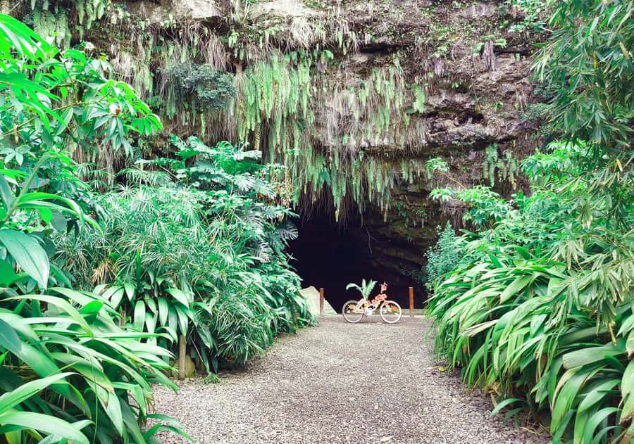 Tahiti Private Half Day Tour. Nature, history and culture - Point Venus and optional route changes